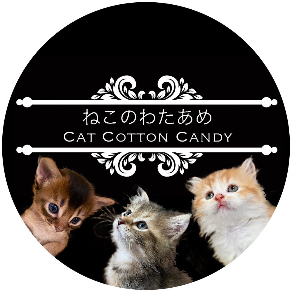猫専門ブリーダー ねこのわたあめ